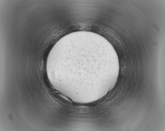 X0000111000748200907171813