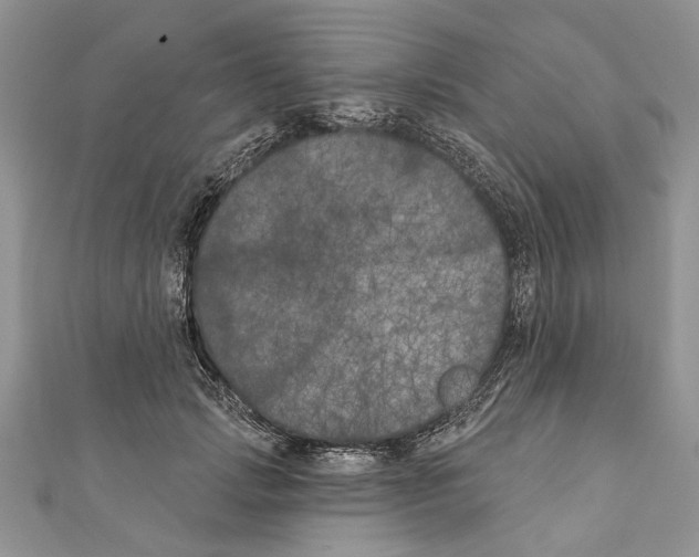 X0000111000749200907171813