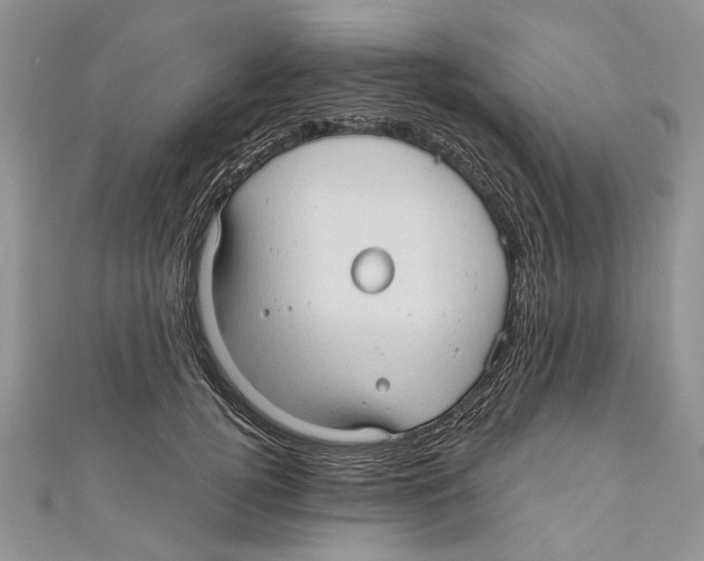 X0000111000752200907171813