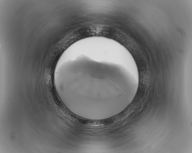 X0000111000754200907171813