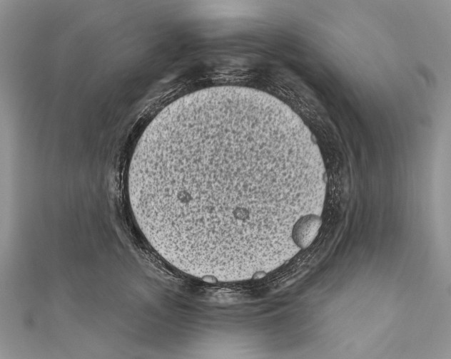 X0000111000755200907171813