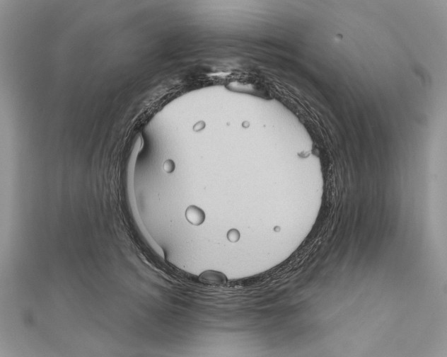 X0000111000756200907171813