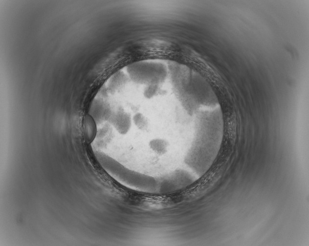 X0000111000757200907171813