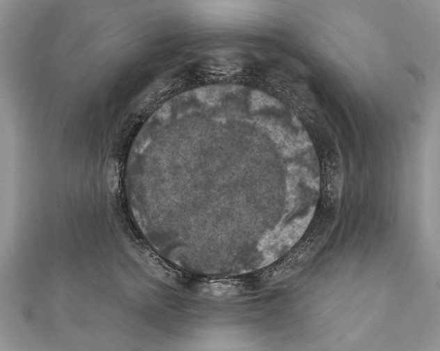 X0000111000758200907171813