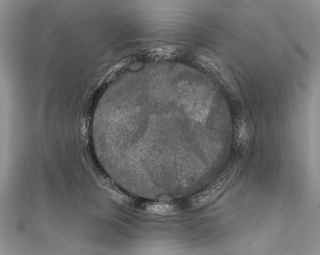 X0000111000759200907171813