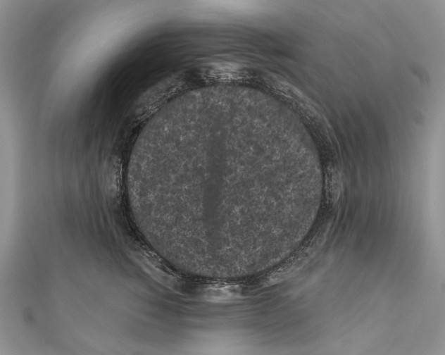 X0000111000760200907171813