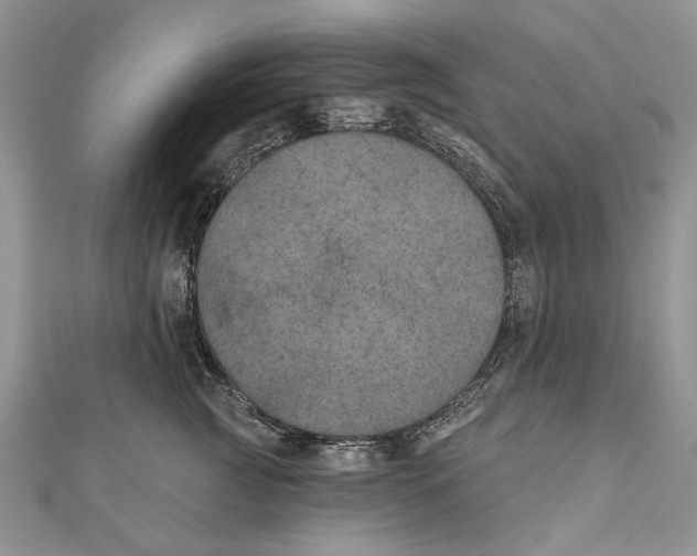 X0000111000761200907171813