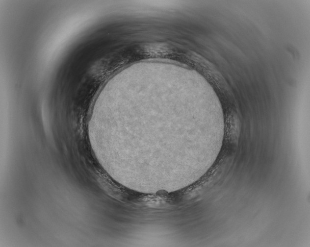 X0000111000762200907171813