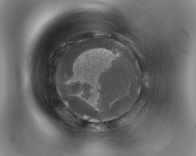 X0000111000763200907171813