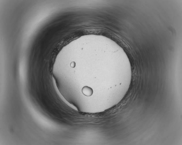 X0000111000764200907171813