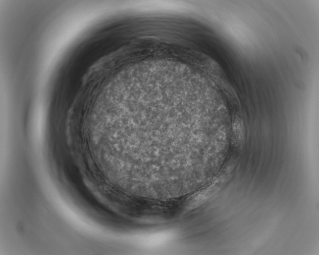 X0000111000765200907171813