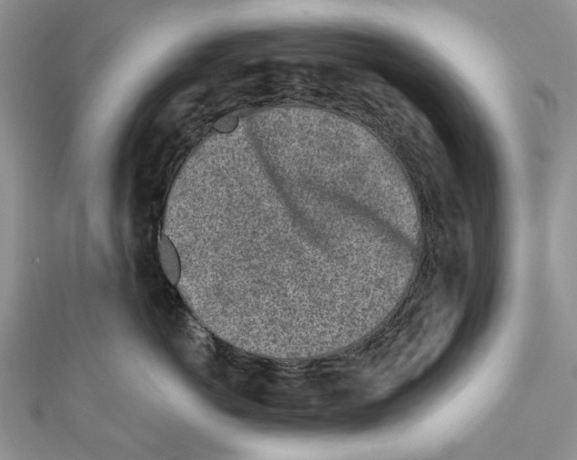 X0000111000766200907171813