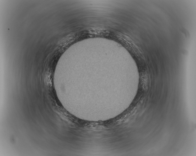 X0000111000770200907171813