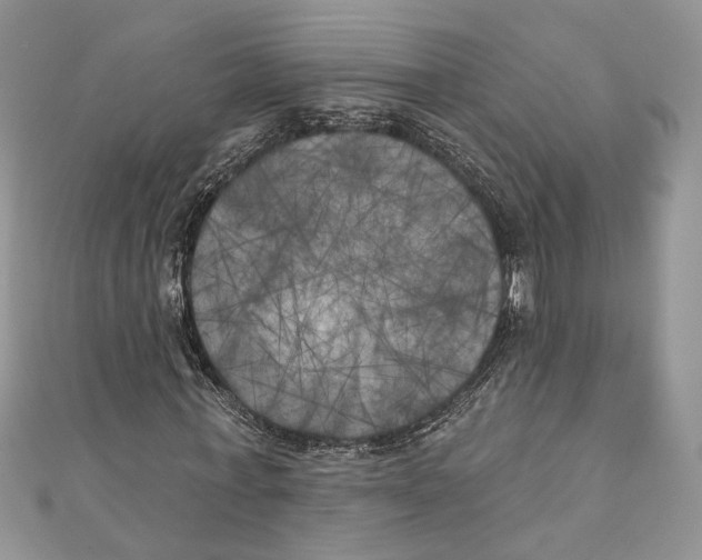 X0000111000771200907171813