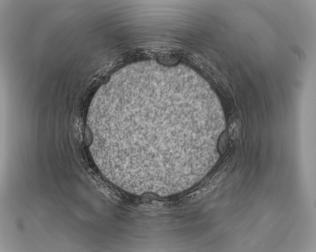 X0000111000772200907171813