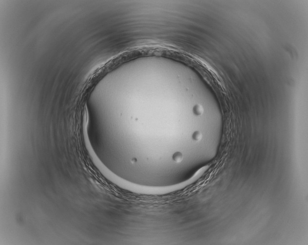 X0000111000775200907171813