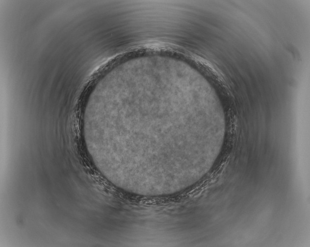 X0000111000776200907171813