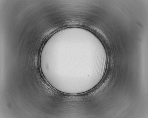 X0000111000777200907171813