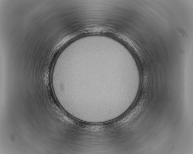 X0000111000778200907171813