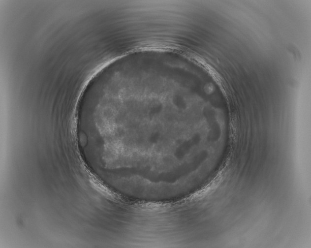 X0000111000779200907171813