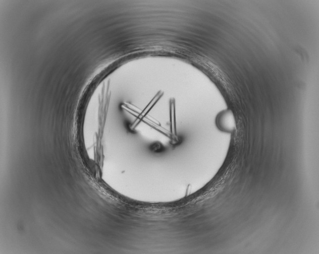 X0000111000780200907171813