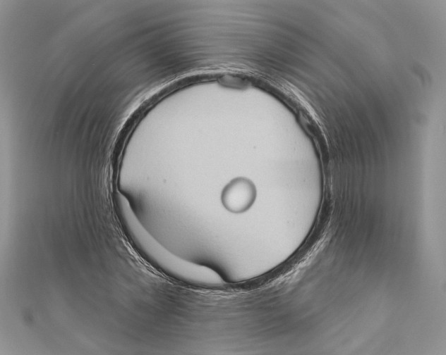 X0000111000781200907171812