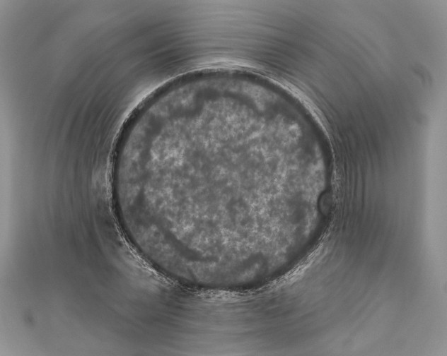 X0000111000783200907171812