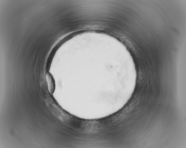 X0000111000784200907171812