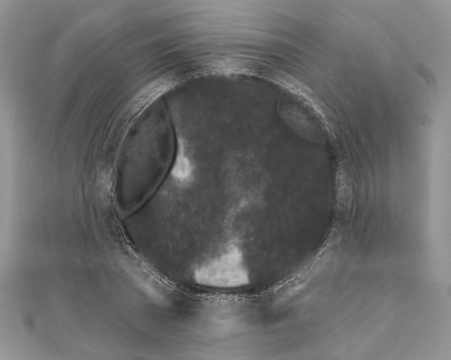 X0000111000785200907171812