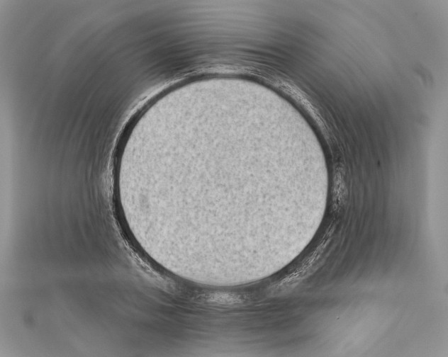 X0000111000787200907171812