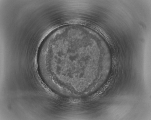 X0000111000788200907171812