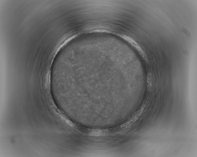 X0000111000790200907171812