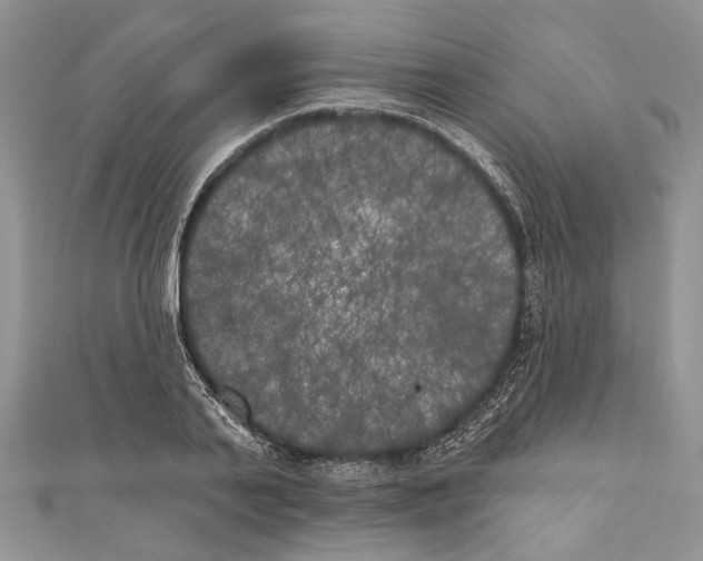 X0000111000791200907171812