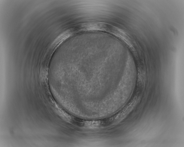 X0000111000793200907171812