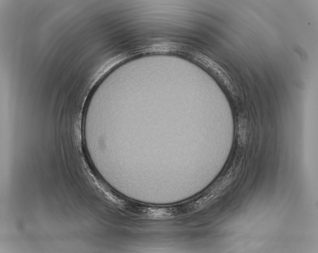 X0000111000794200907171812