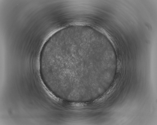 X0000111000795200907171812