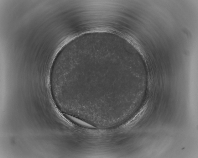 X0000111000797200907171812