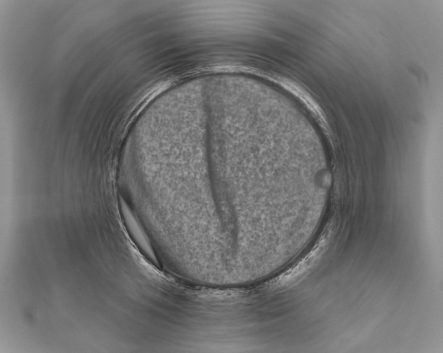 X0000111000801200907171812