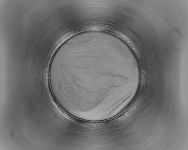 X0000111000802200907171812