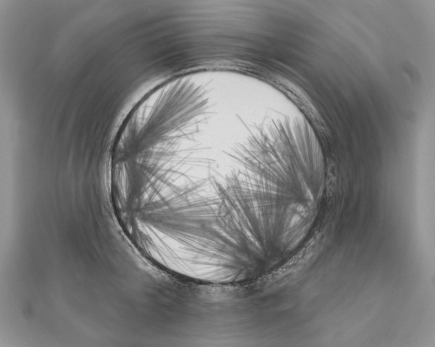 X0000111000804200907171812