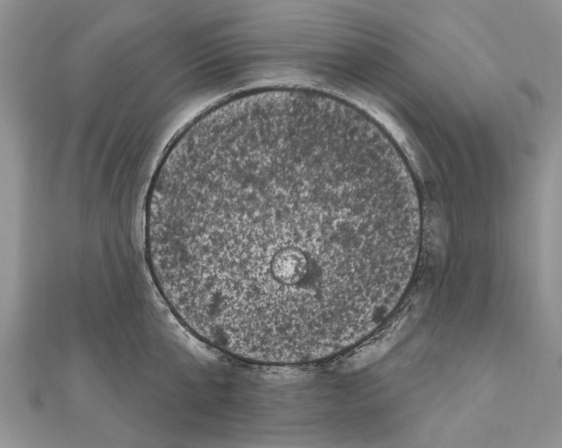 X0000111000807200907171812