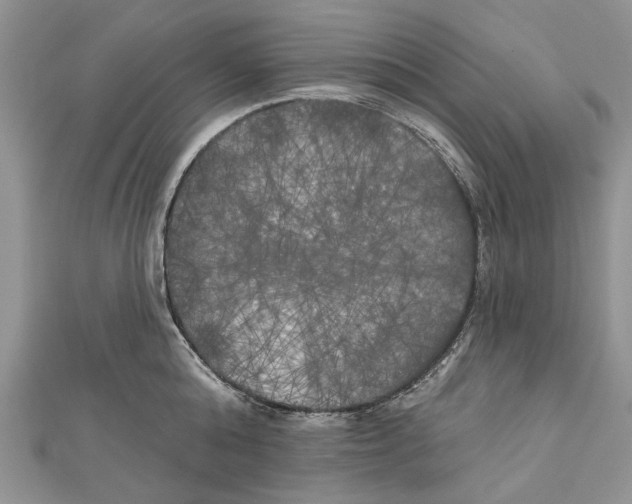 X0000111000808200907171812