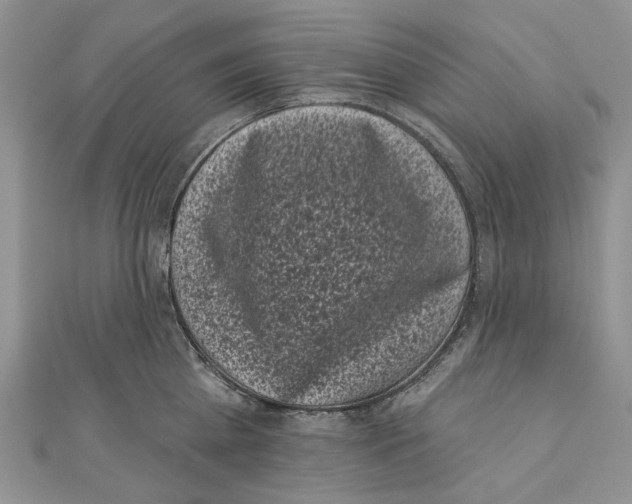 X0000111000809200907171812