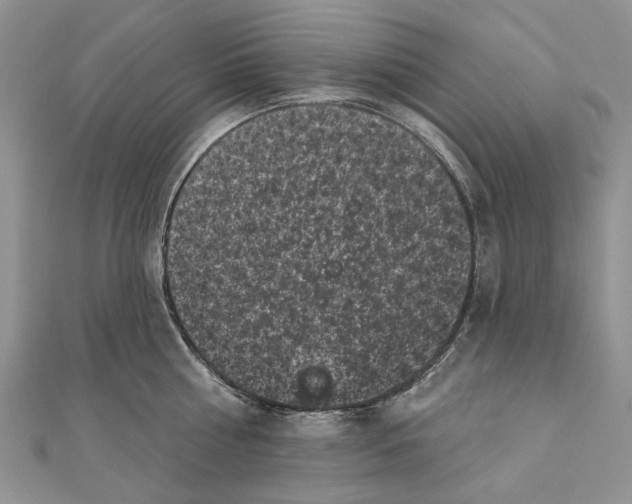 X0000111000810200907171812