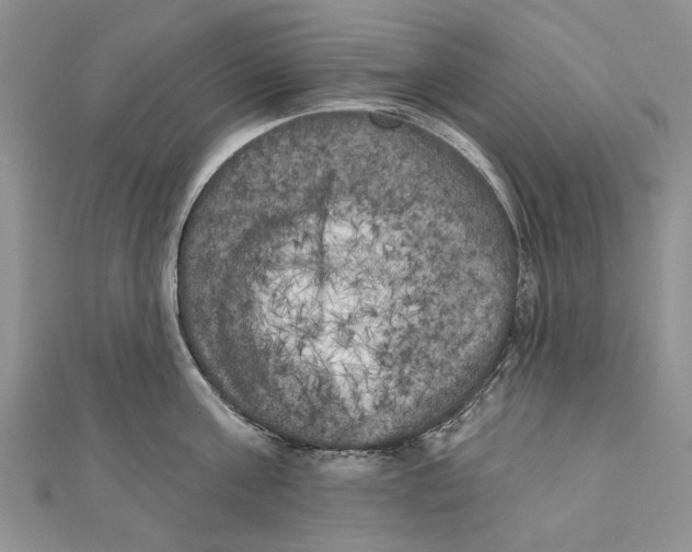 X0000111000811200907171812