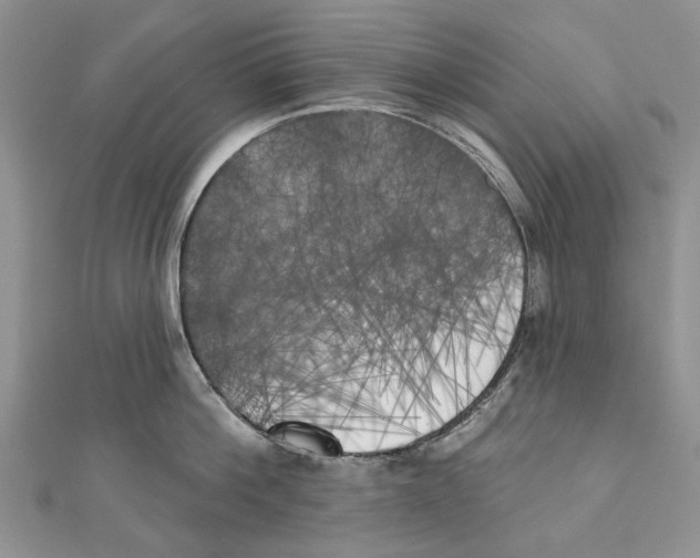 X0000111000812200907171812