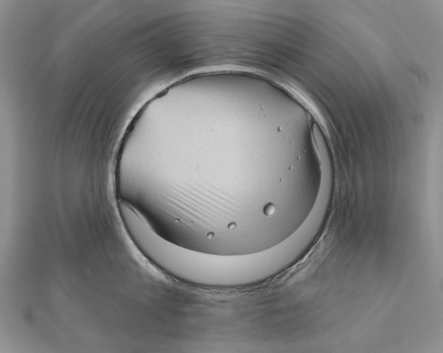 X0000111000813200907171812