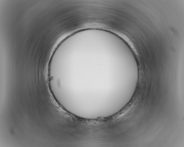 X0000111000815200907171812