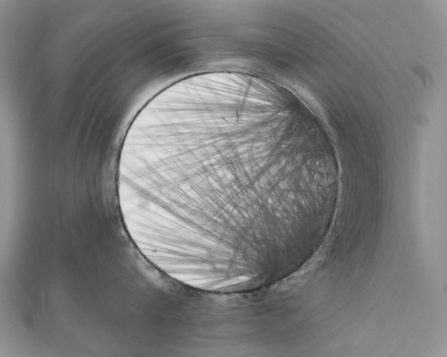 X0000111000816200907171812