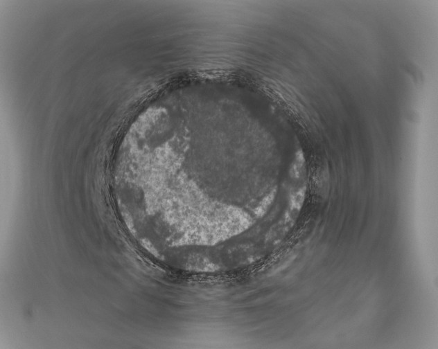 X0000111000817200907171811